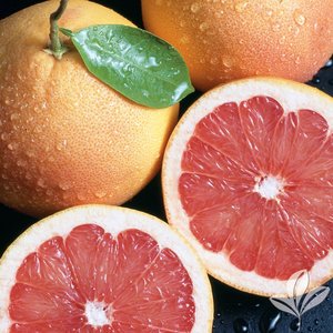 Grapefruit_Red.jpg