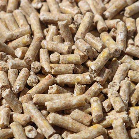 lay_pellets_pic.jpg